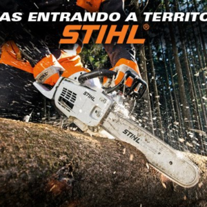 Motosierras